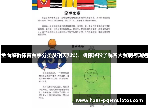 全面解析体育赛事分类及相关知识,助你轻松了解各大赛制与规则