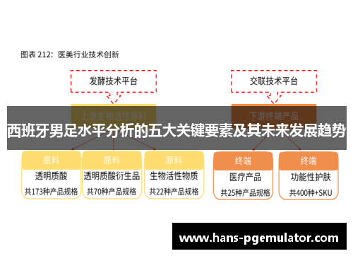 西班牙男足水平分析的五大关键要素及其未来发展趋势 西班牙男足水平分析的五大关键要素及其未来发展趋势