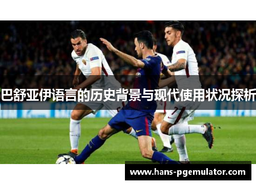 巴舒亚伊语言的历史背景与现代使用状况探析