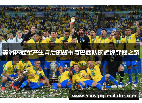 美洲杯冠军产生背后的故事与巴西队的辉煌夺冠之路