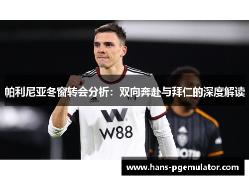 帕利尼亚冬窗转会分析：双向奔赴与拜仁的深度解读