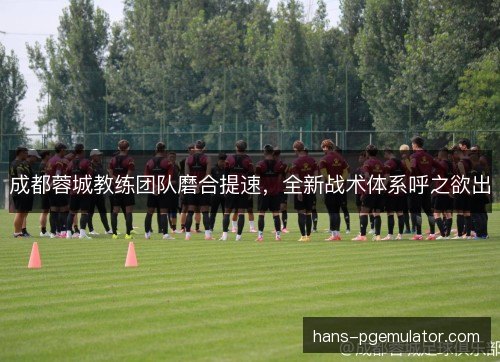 成都蓉城教练团队磨合提速，全新战术体系呼之欲出